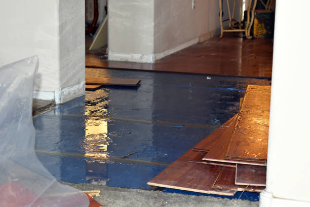 Professional Basement Flood Cleanup technician working in Savannah, MO